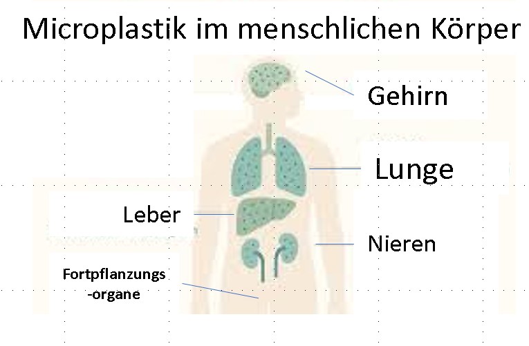 Mikroplastik im Körper